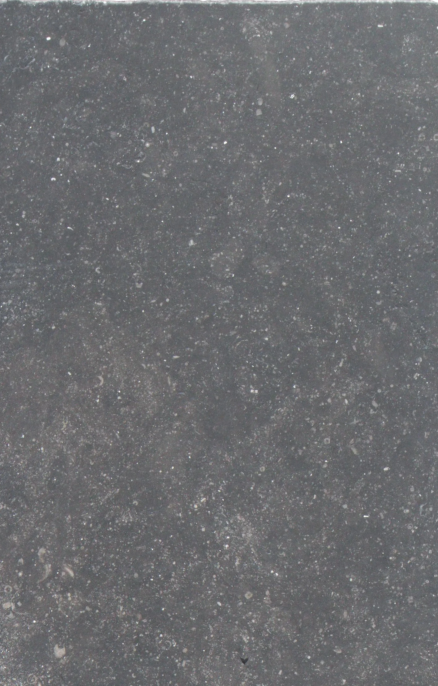 Belgian Blue Limestone