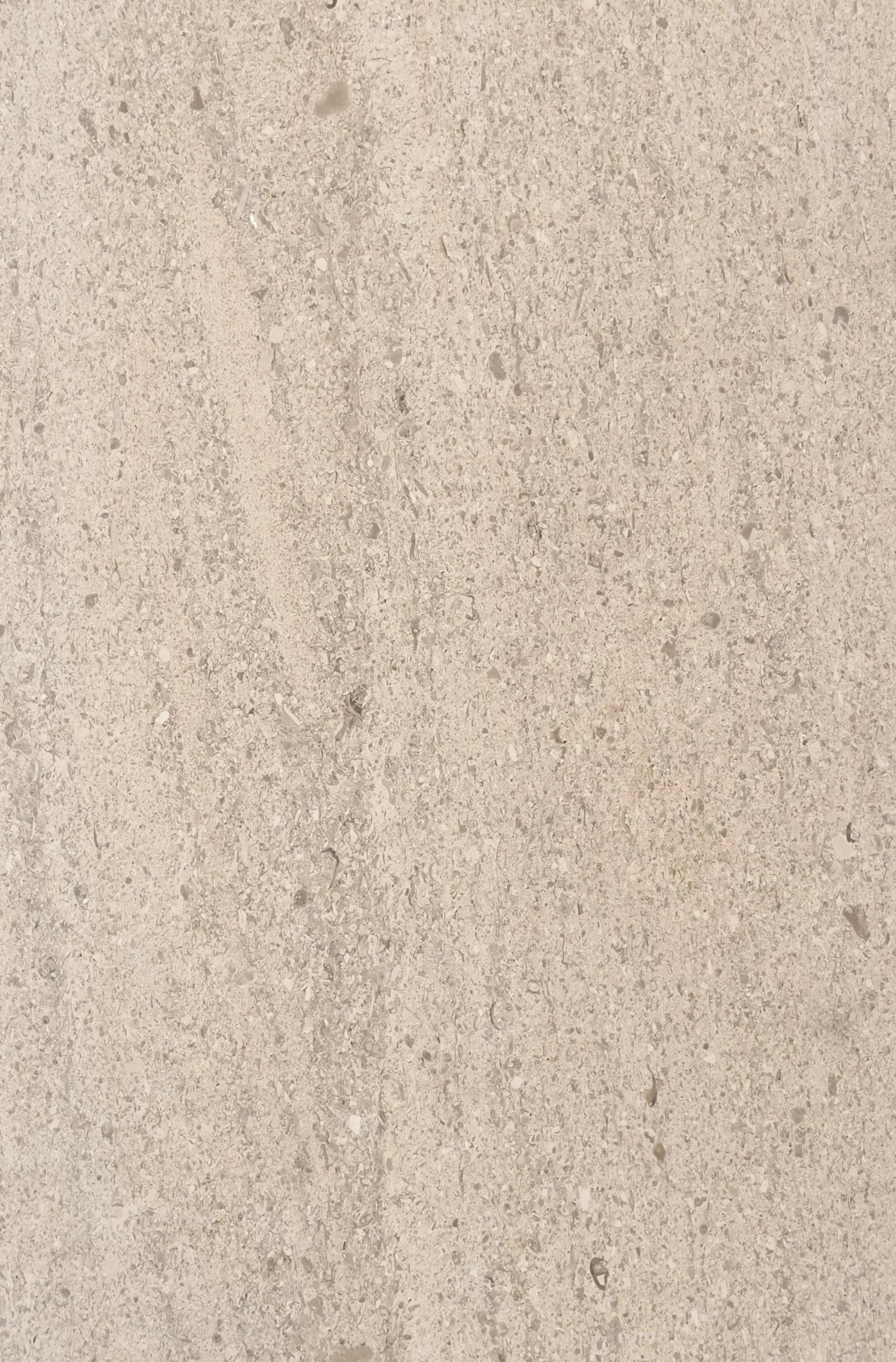 Moca Creme Limestone