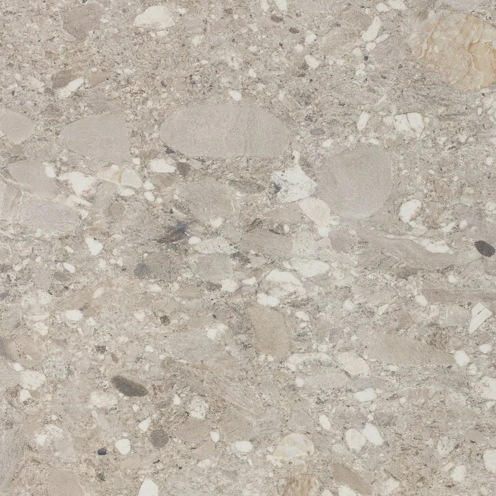 Ceppo — Ceppo Sabbia