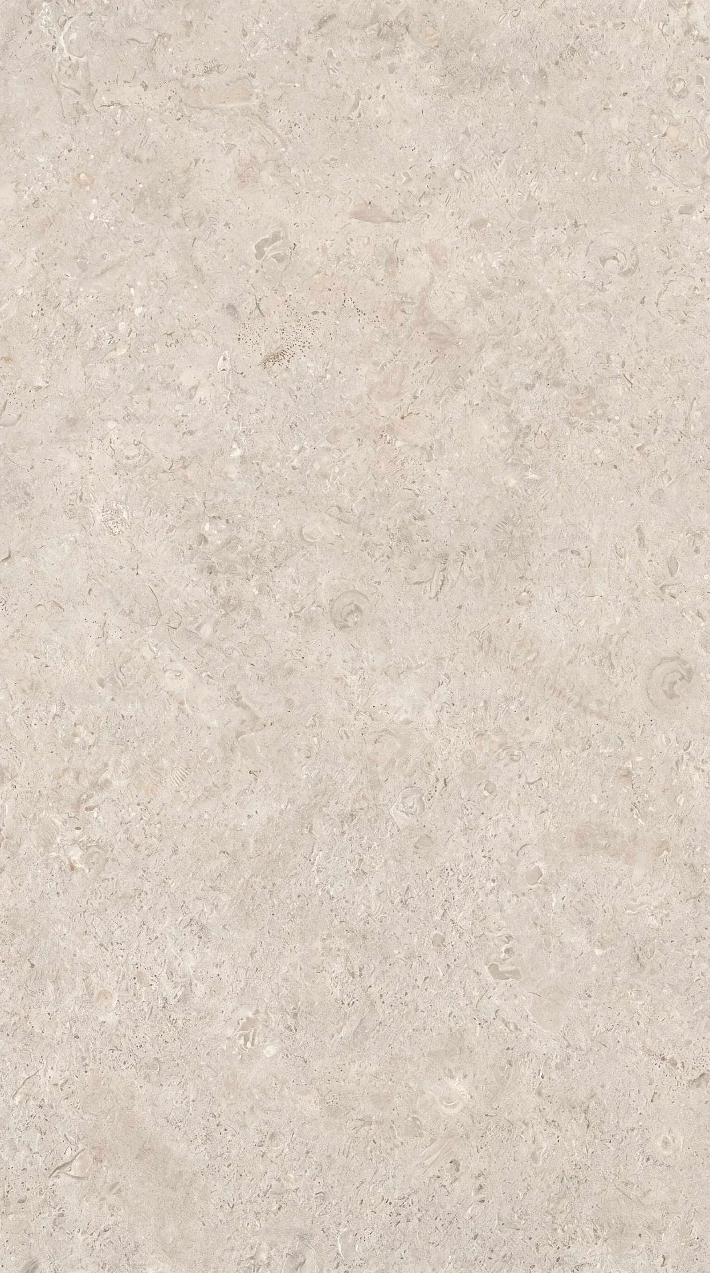 Coral Stone