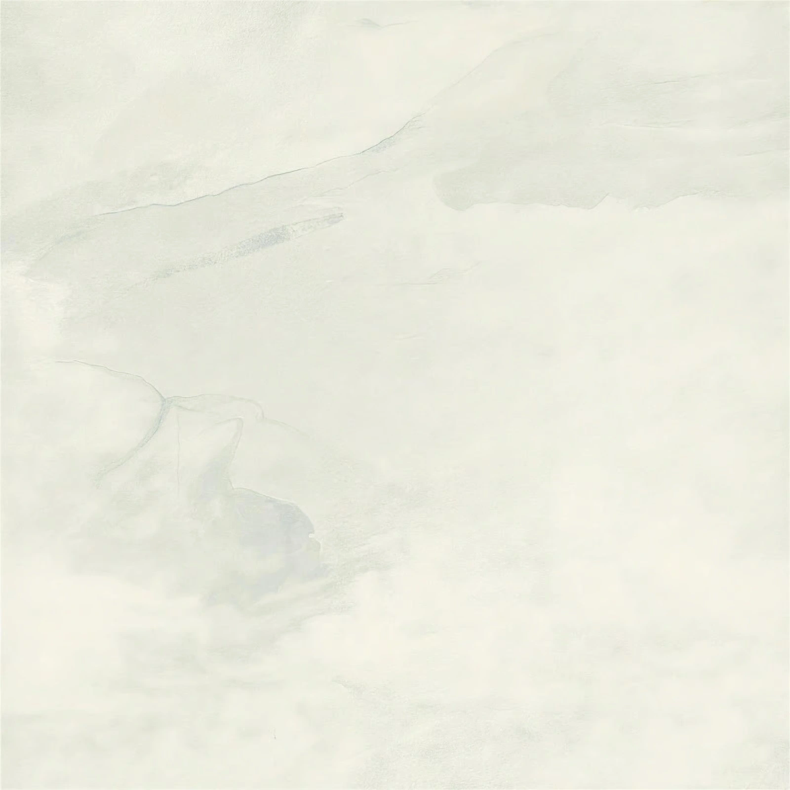 De White Rectified
