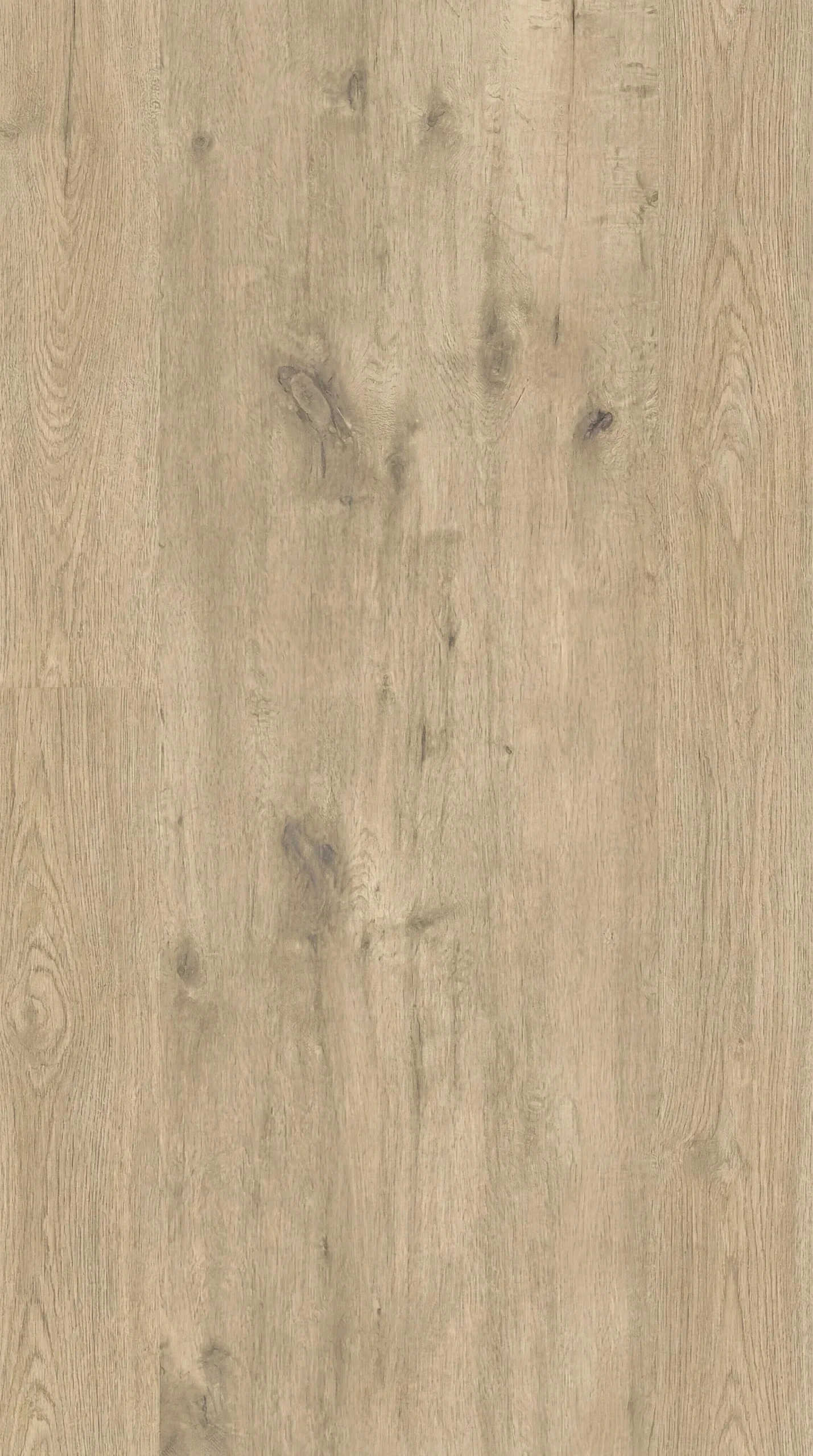 Wood Look Porcelain Paver — Naturale