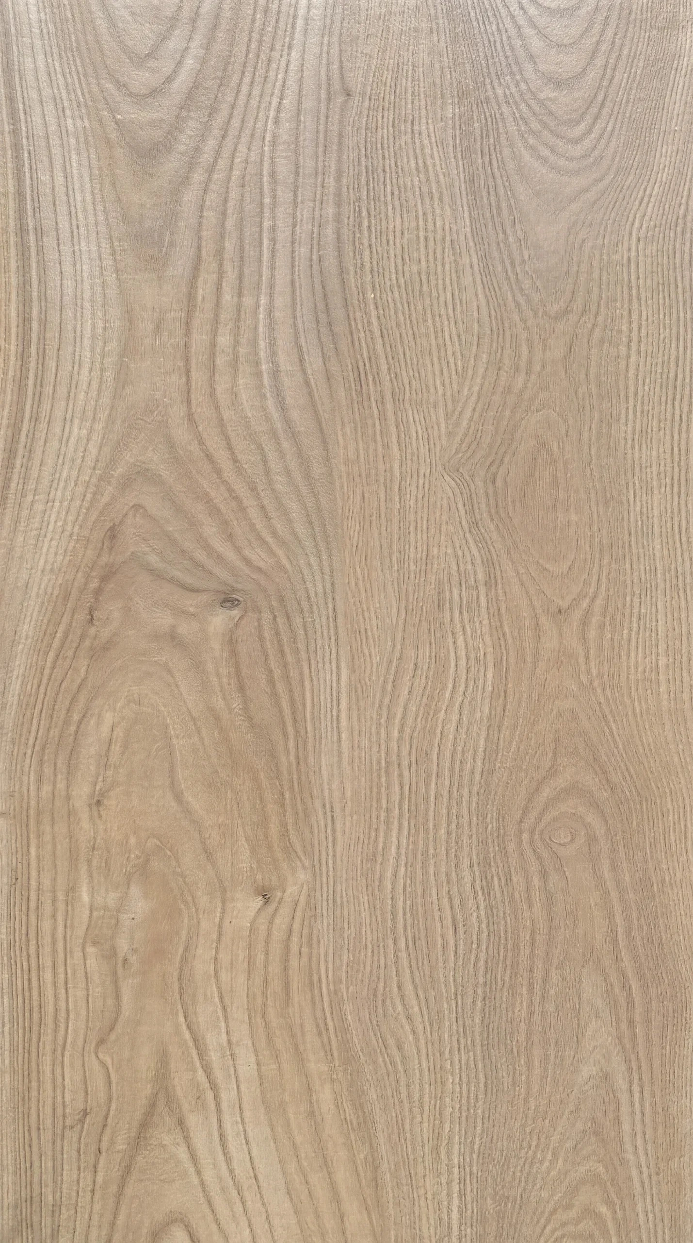 Wood Look Porcelain Paver — Olmo Wood Look Porcelain Paver — Olmo
