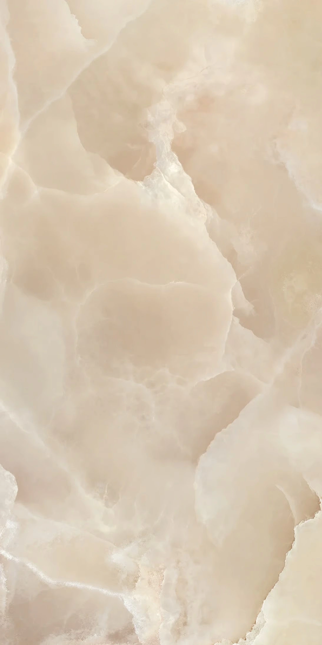 Onyce — Onyce Champagne