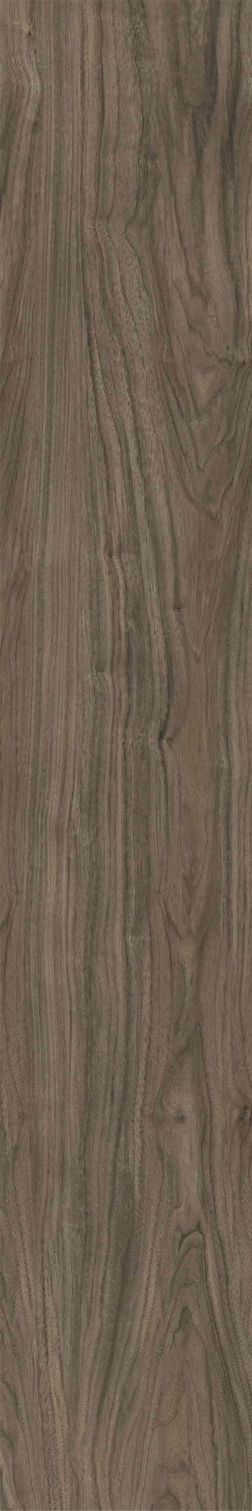 ATHENS WALNUT