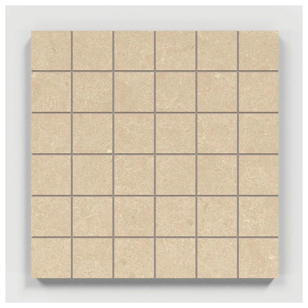 Argent 2.0 Winter Garden 2x2 Mosaic Unpolished Stone Look