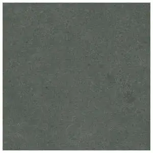 Enchanted Forest Unpolished Stone Look Porcelain Tile