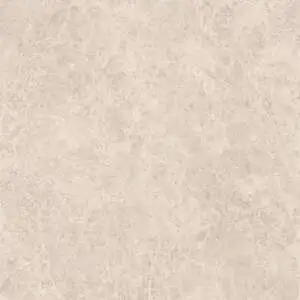 DELICATE BEIGE