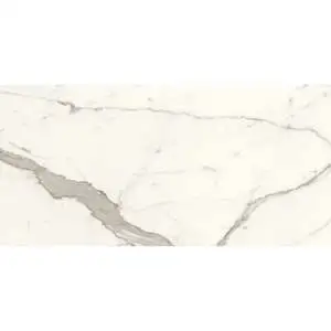 INTENSA SILVER