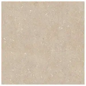 Arena Conchiglia Matte Stone Look Porcelain Tile