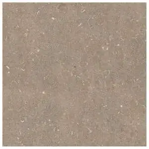 Arena Pietra Matte Stone Look Porcelain Tile