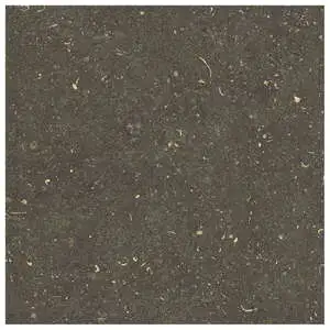 Arena Platino Matte Stone Look Porcelain Tile