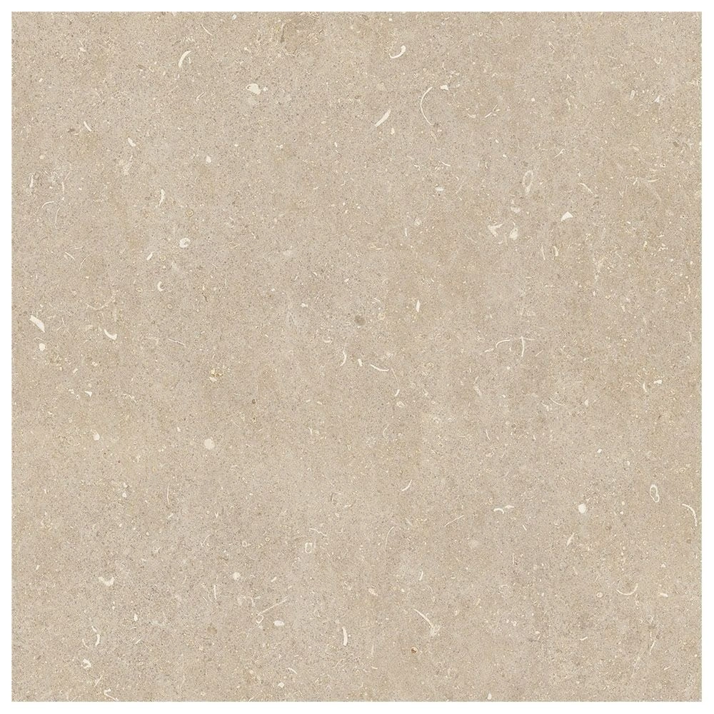 Arena Conchiglia Matte Stone Look Porcelain Tile