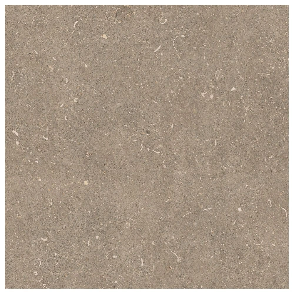 Arena Pietra Matte Stone Look Porcelain Tile