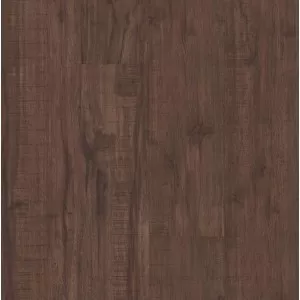 Umber Oak