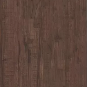 Umber Oak