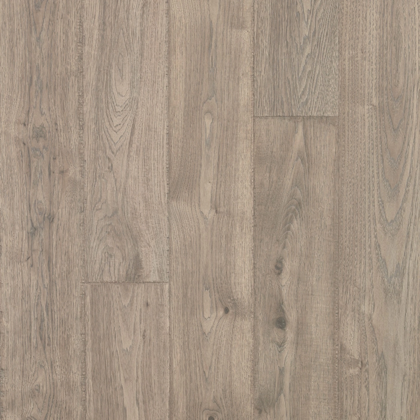 Elderwood Asher Gray Oak flooring