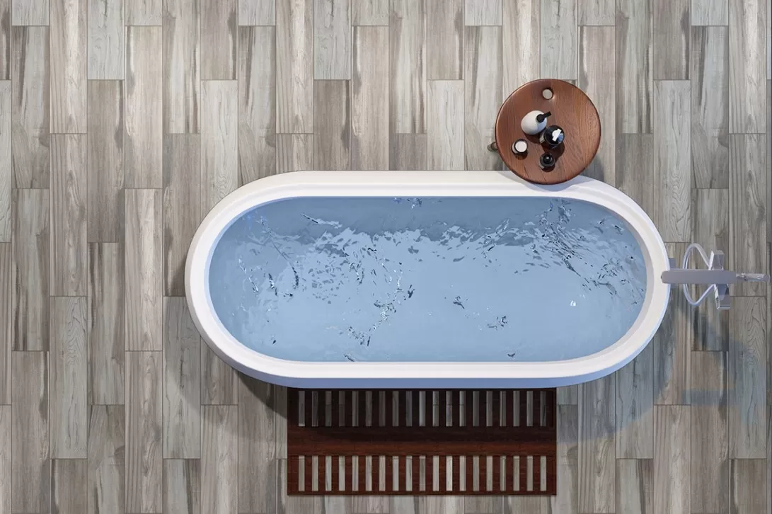 Carolina Timber II Carolina Timber II