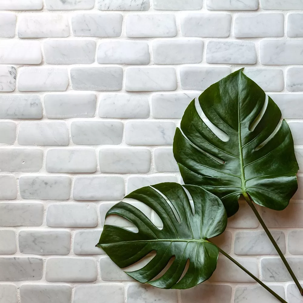 Giovanni Barbieri Time Worn Stone