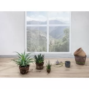 Legno Venezia Legno Venezia