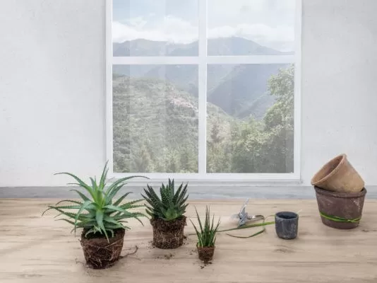 Legno Venezia Legno Venezia