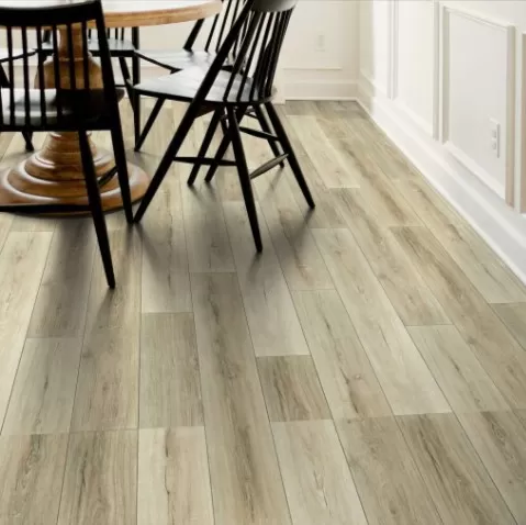 Adventure HD+ Accent Adventure HD+ Accent