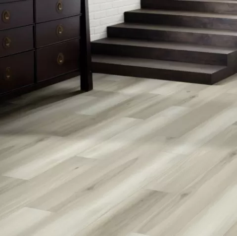 Distinction Plus Distinction Plus