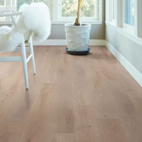 Distinction Plus Distinction Plus