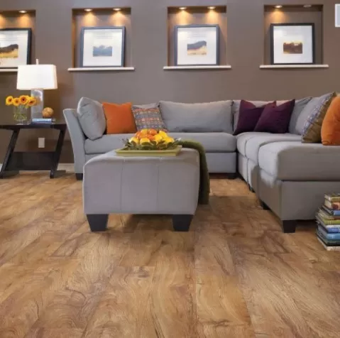 Georgetown Plus Plank