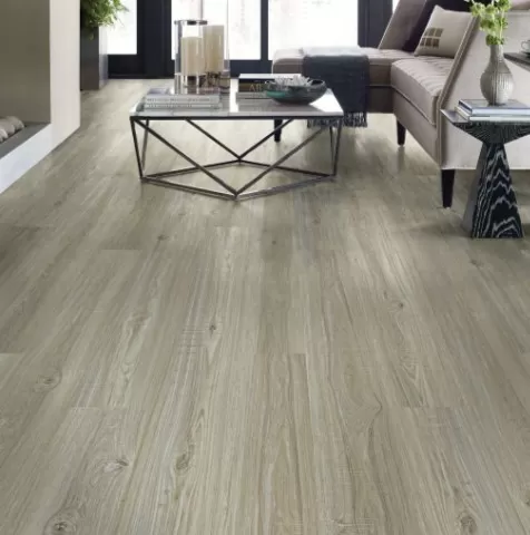 Impact Plus Impact Plus