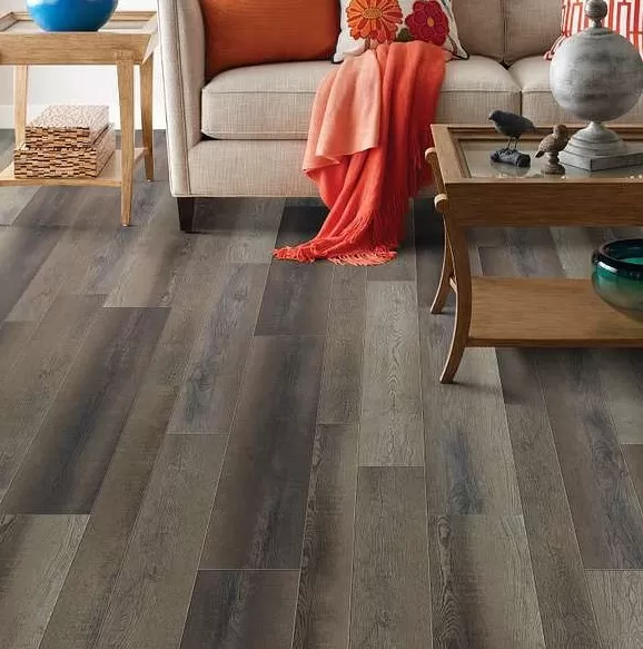 Paragon Mix Plus Paragon Mix Plus