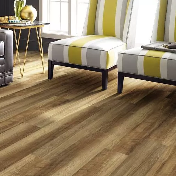 Paramount 512C Plus Paramount 512C Plus