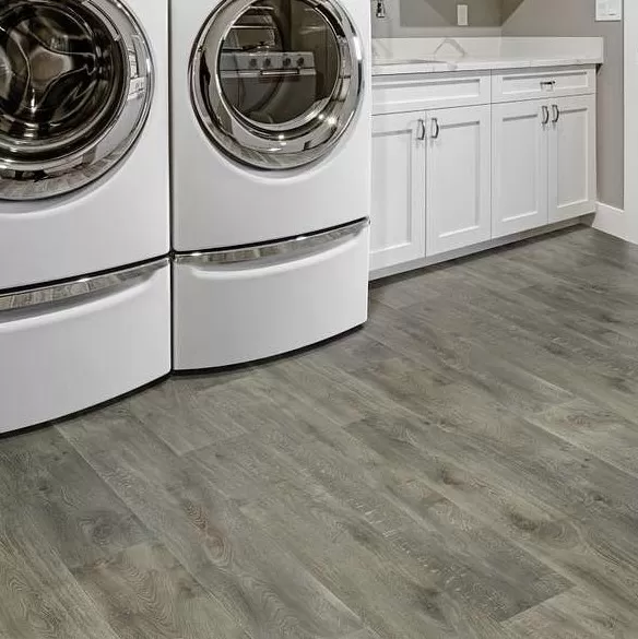 Serendipity Serendipity