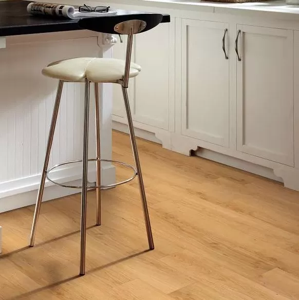 Thoroughly MO 12 Thoroughly MO 12