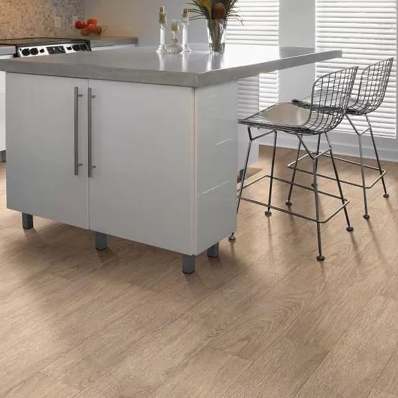 Thoroughly MO 12 Thoroughly MO 12