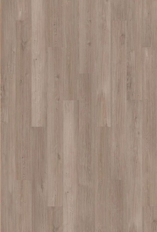 Potomac Oak