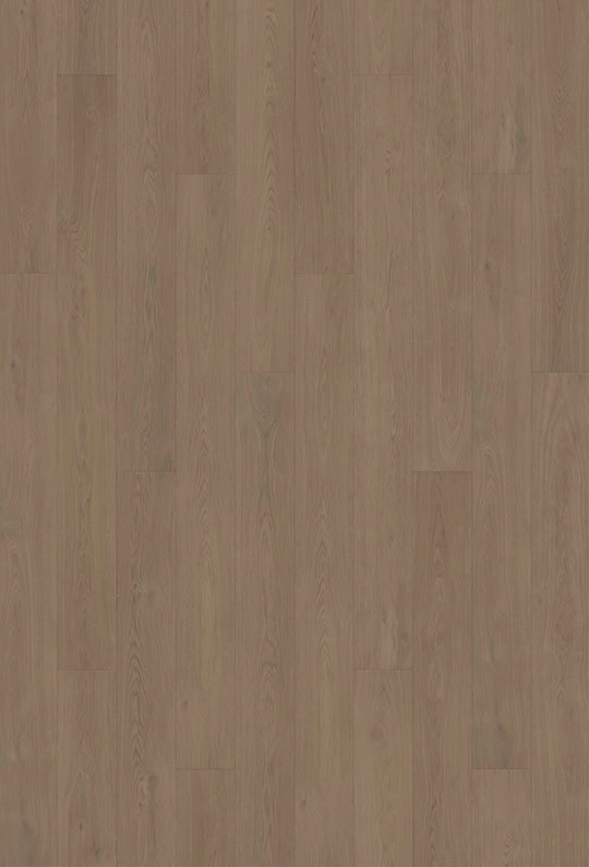 Yukon Oak