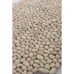 WHITE XS PEBBLE MOSAIC Floor Tile