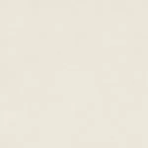 Empress White Floor Tile