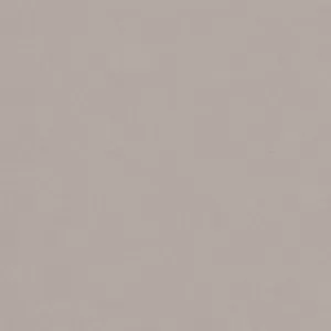 Seal Taupe Floor Tile