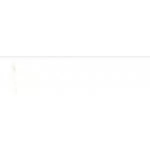 Calacatta Oro Bullnose Floor Tile