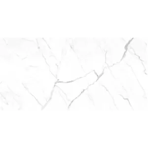 Statuario Venato 24/48 Floor Tile