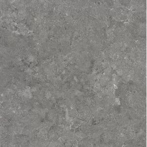 Gris belge NE31 Floor Tile