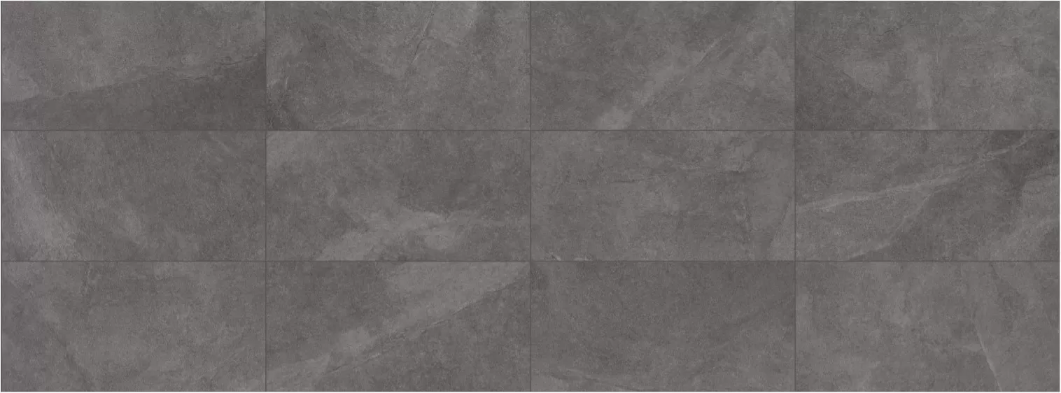 Disigual Anthracite