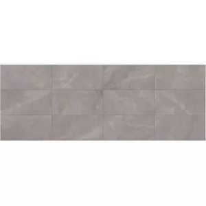 Disigual Grey
