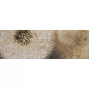 Decor lucille | crema Wall Tile