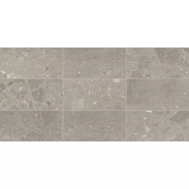 Arch Grey M323 Floor Tile