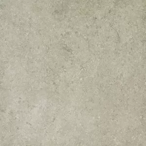 Fossil Gris Floor Tile