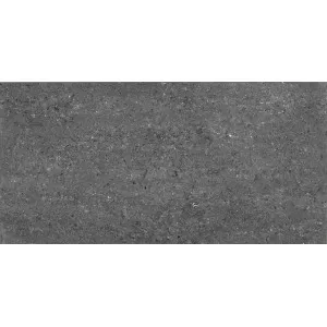 Domotec Negro Floor Tile