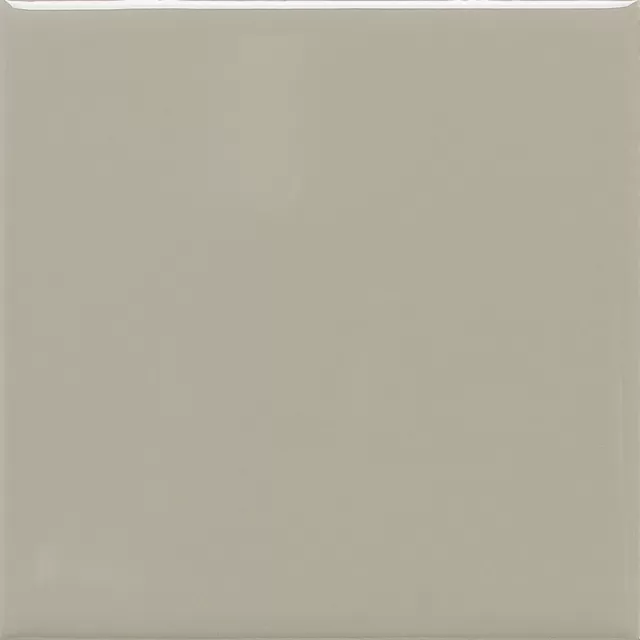 Architectural Gray 0109 Floor Tile